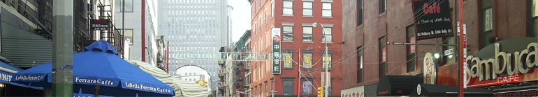 Web Camera Gay Web Sites header image 1