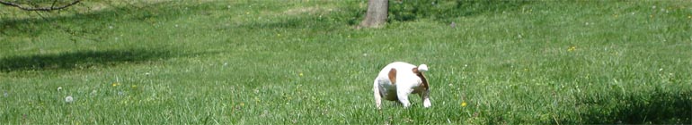 Web Camera Gay Web Sites header image 2